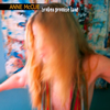 Anne McCue - Broken Promise Land