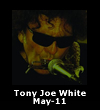 Tony Joe White