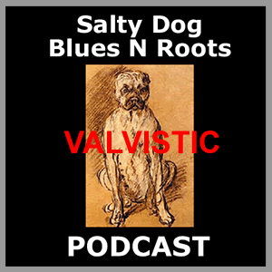 VALVISTIC - Salty Dog Blues N Roots Podcast