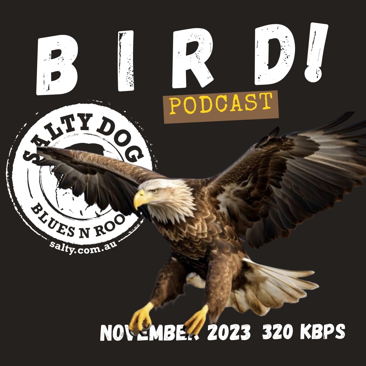BIRD Blues N Roots - Salty Dog (November 2023)